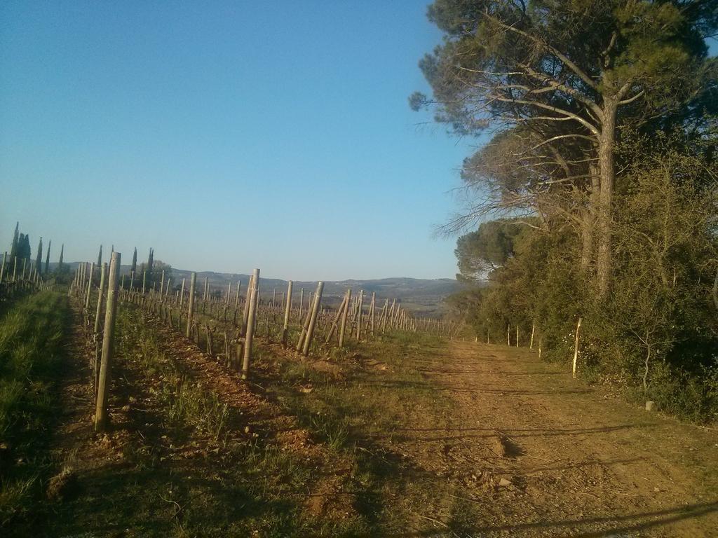 Argiano Dimore Wine Relais Kültér fotó