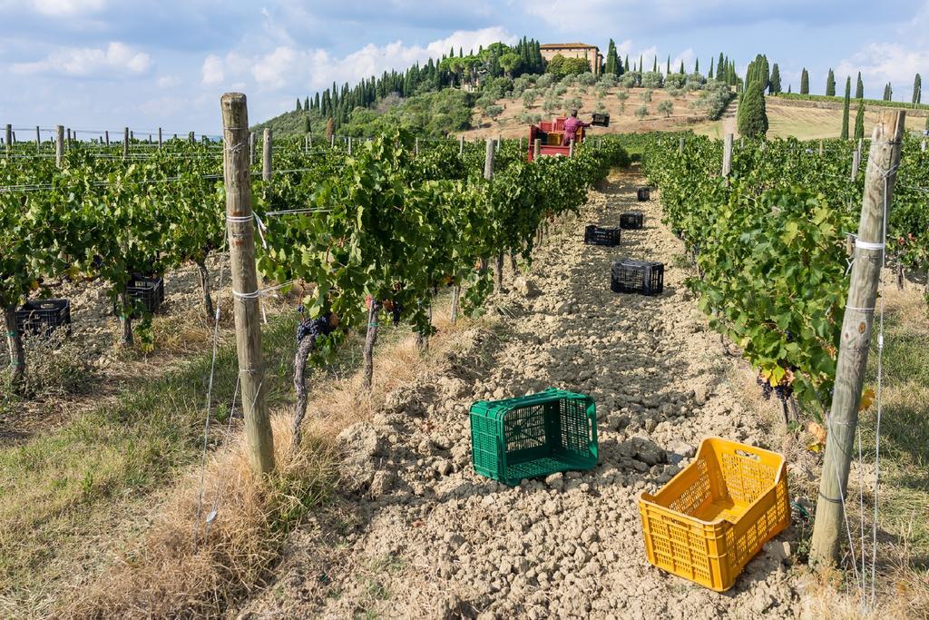 Argiano Dimore Wine Relais Kültér fotó